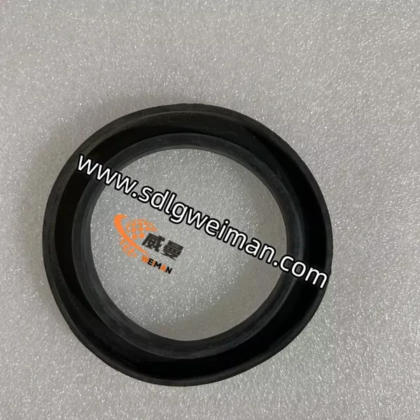 ORIGINAL SDLG DUST COVER 4120001739006 photo-2