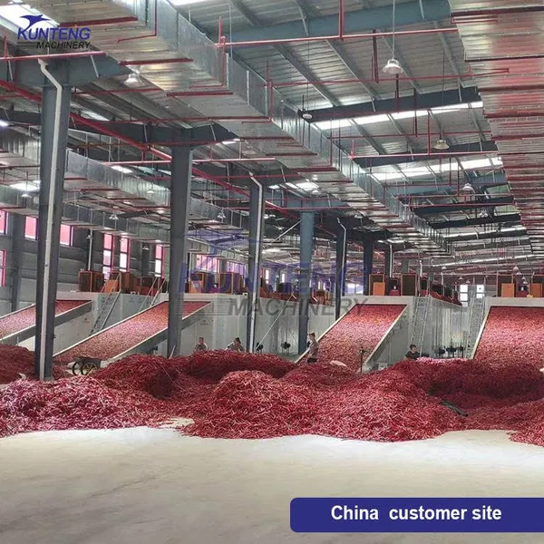 Huge Capacity Chilli Mesh Belt Drying Machine Vegetables Dryer Equipment Continuous EPC photo-4