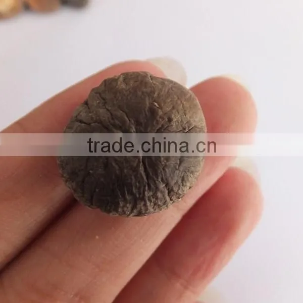 Market Prices for Mushroom photo-3