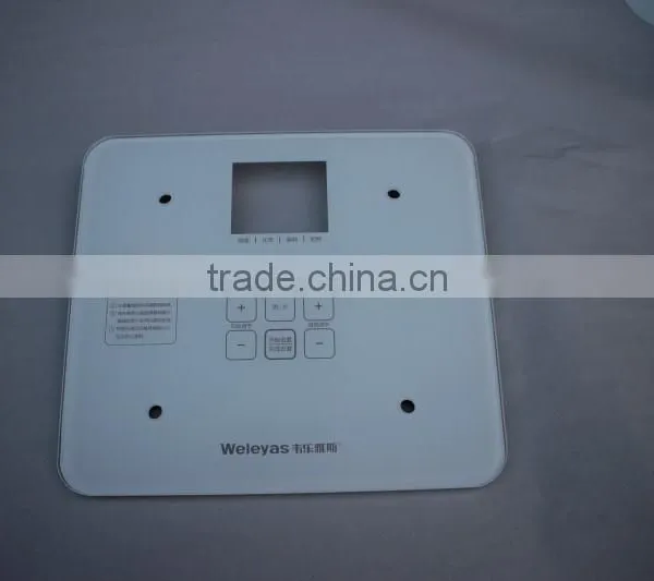 Body Scale Glass Panel photo-4