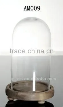 Clear Glass Bell Jar Cloche
