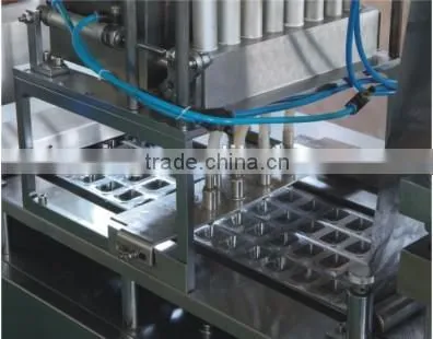 Automatic Blister Packing Production Line photo-2