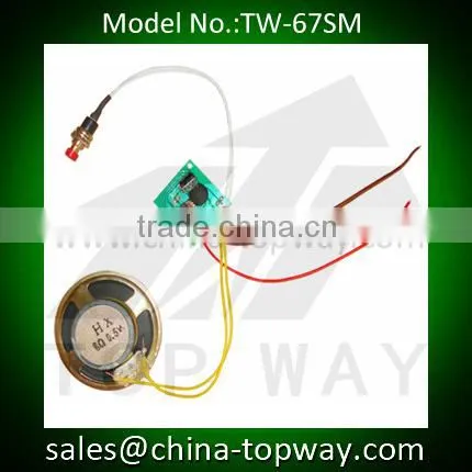 1000s recordable voice module for toys