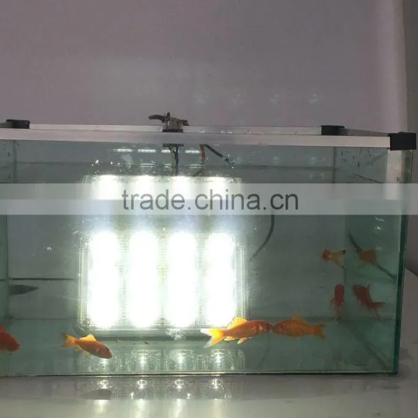 5 Inch Auto LED Spot Light 24v Water-proof photo-4