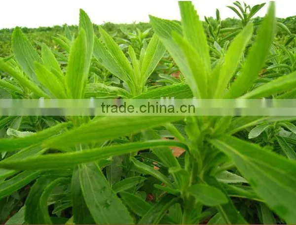 100% Pure Natural Sweetener 80% Rebaudioside A Stevia Leaf Extract Stevia Extract RA80% photo-2