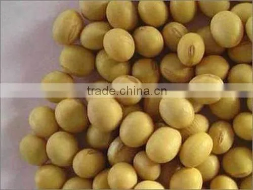 Soybean Isoflavones 20%, 40% HPLC Daidzin Daidzein