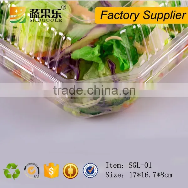 Disposable Feature and Accept Custom Order Container for Salad photo-5
