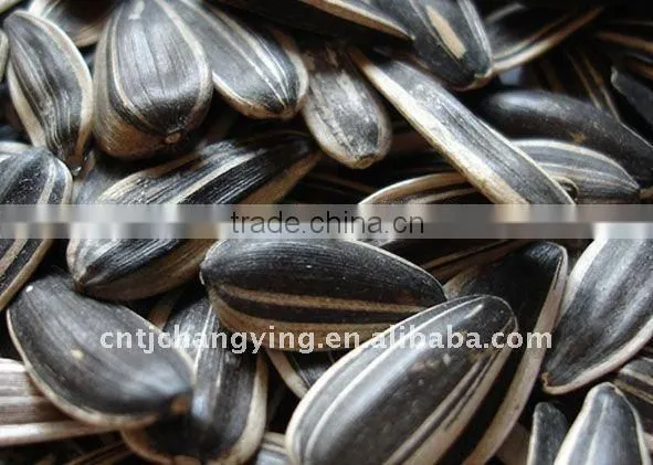 Raw Black Sunflower Seeds 5009