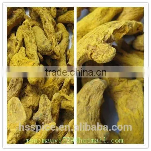 Dry Turmeric Finger photo-3