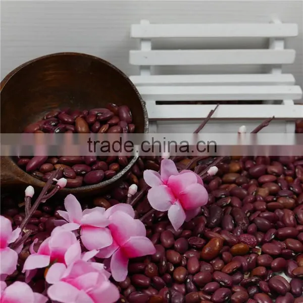 Small Red Kidney Bean 2016 Crop Good Price High Quality photo-5