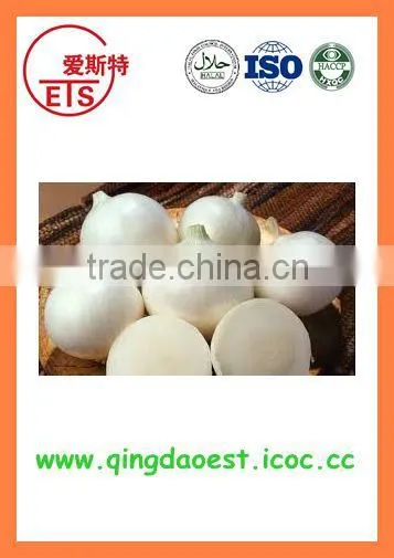 Export Best Quality Fresh Red Yellow White Onion photo-5