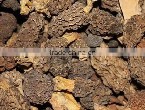 Organic Morels Conica Mushroom Dried Morel