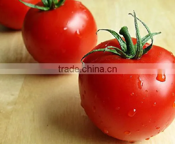 Organic Tomato Extract Lycopen 5-20% in Store