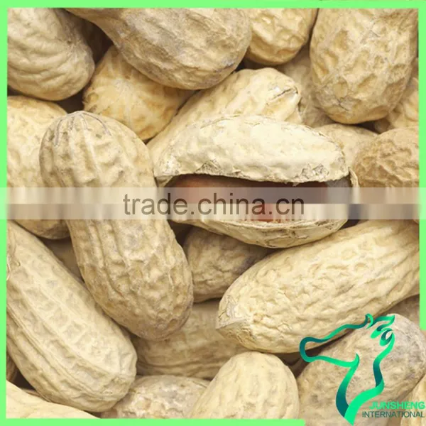 Raw Chinese Peanut Factory Supply photo-6