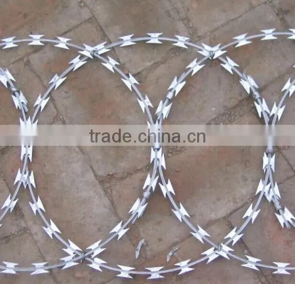 Security Concertina Barbed Wire Tape Wire Razor Barbed Tape Concertina Coil Fencing photo-2