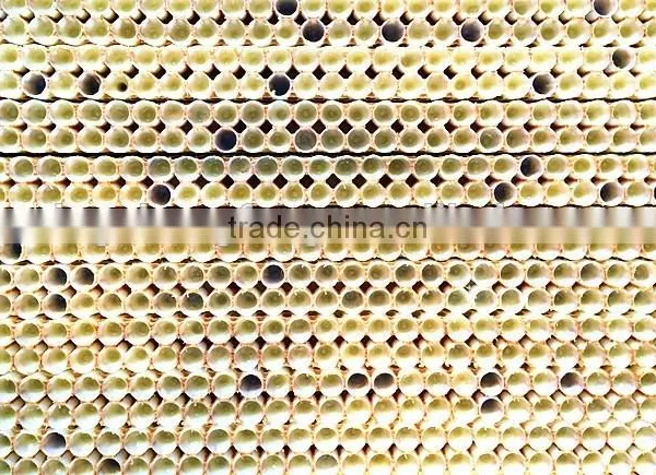 Factory Price 1.4% 10-HADpure Organic Fresh Royal Jelly photo-6