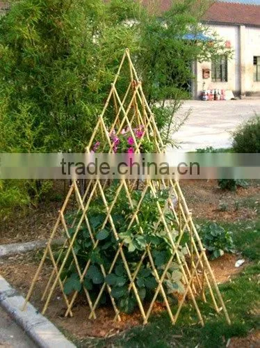 Bamboo Trellis
