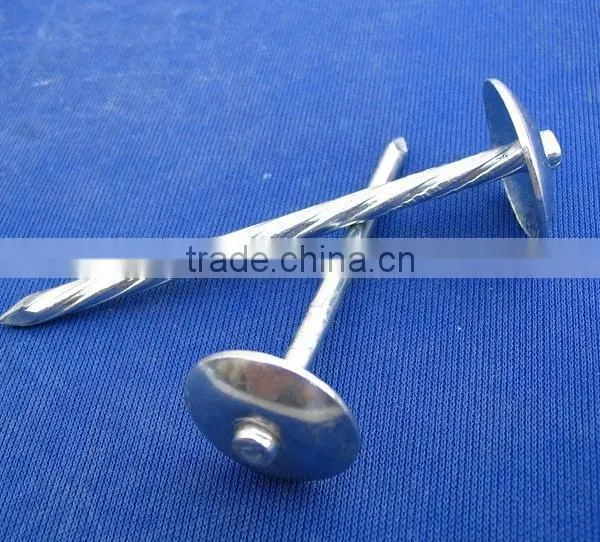 Umbrella Head Roofing Nails photo-6