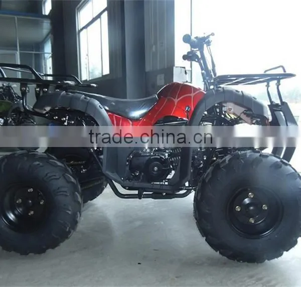 Small Beach Buggy Truck For Young Man Race On Beach photo-4