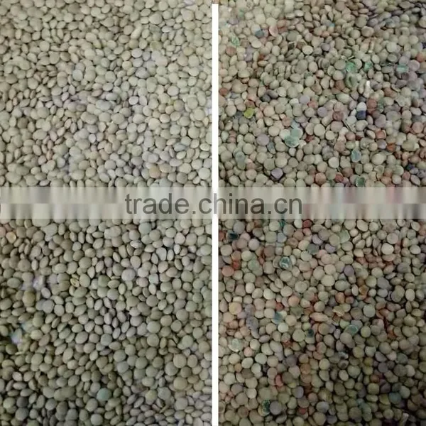 Excellent Quality CCD Bean Color Sorter photo-4
