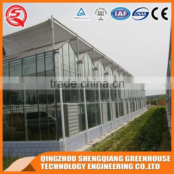 Large Glass Agricultural Greenhouses Indoor Glass Greenhouse Used photo-6