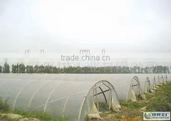 Good Promotion Tunnel Greenhouse Film for Vegetables and Flowers photo-2