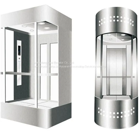 1000KG Glass And Mirror Etched Elevator
