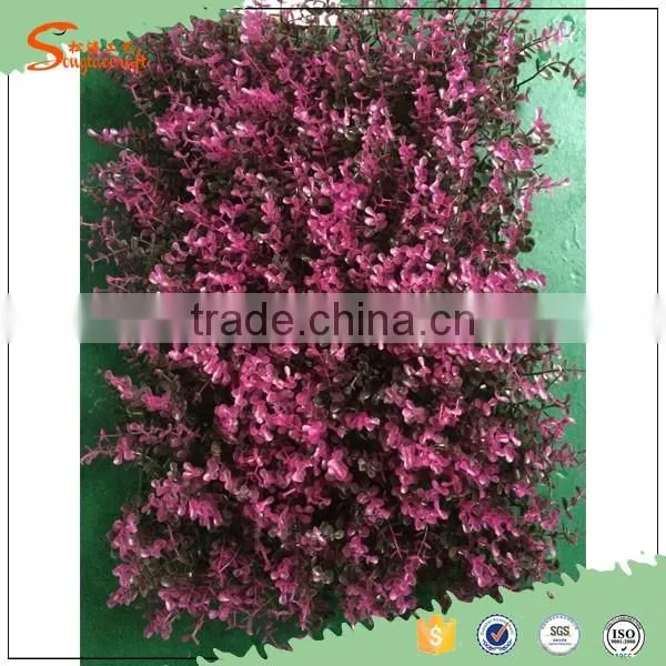 2016 International Certified Professional Leisure Venues Fire Resistant Artificial Grass Wall photo-5