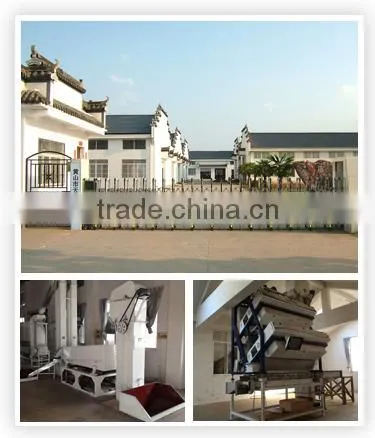 Low Cost & Competitive Chunmee Green Tea, Grade 1 (Article No. 9371AAA) photo-3