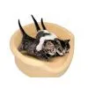 China (Mainland) Pet Mat