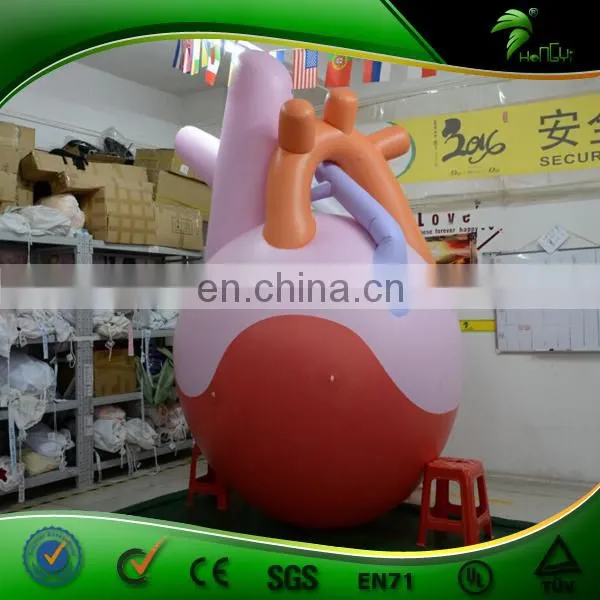 Promotional Large Inflatable Heart Replica,giant Lifelike Inflatable Human Heart Model for Sale photo-4