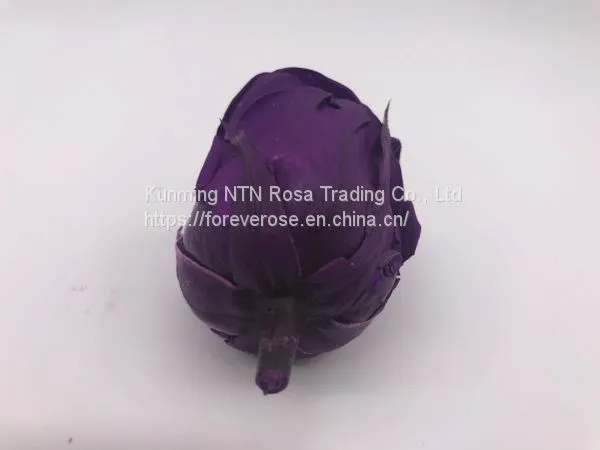 Preserved Fresh Roses Flower for Home Decoration photo-3