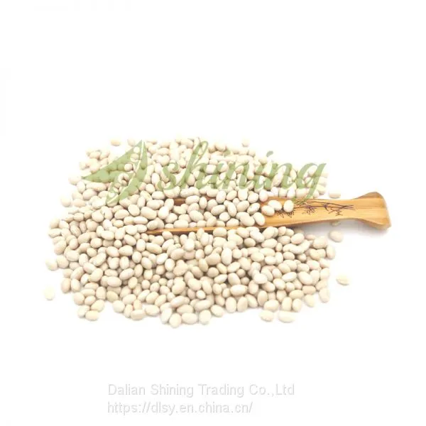 Navy Bean Small White Kidney Beans Haricot Beans photo-4