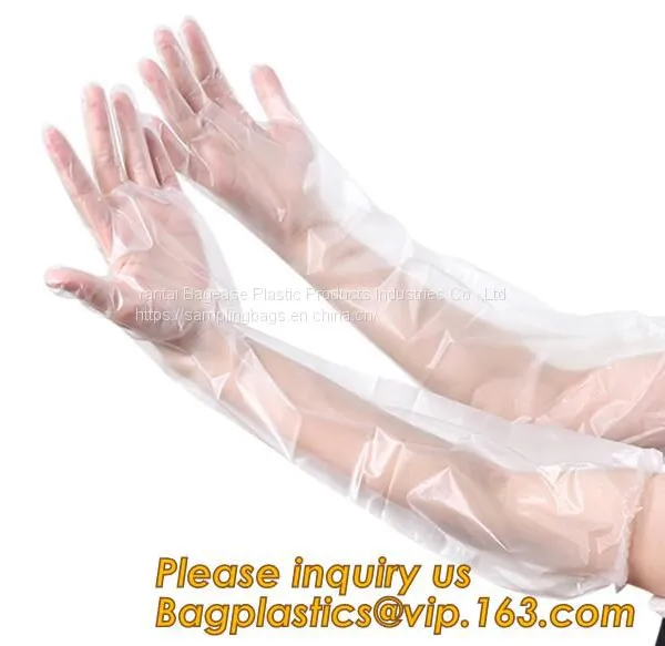Disposable Gloves, 1000 Pcs Plastic Gloves for Kitchen Cooking Cleaning Safety Food Handling, Powder and Latex Free photo-3