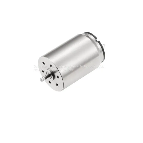 12v 0.55A Slotless dc Motor 22mm Brushed Model Replace Maxon Servo Motor for Robots Electrical Tools Curtains Pump Instrument
