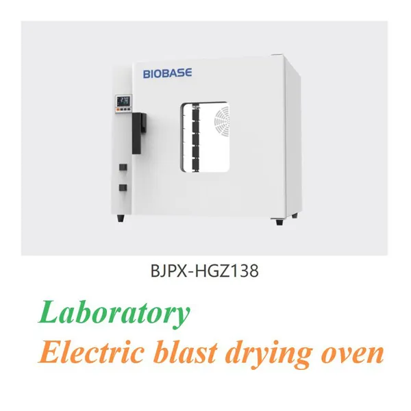 Laboratory Electric Blast Drying Oven photo-2