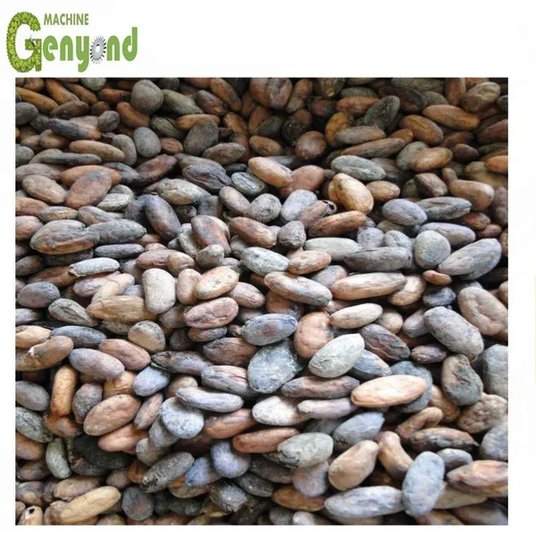Cocoa Powder Processing Machine Cacao Bean Roasting Peeling Machinery