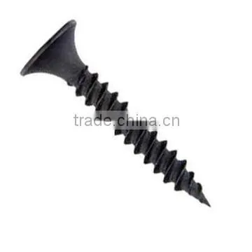 High Quality Drywall Screw in China photo-2