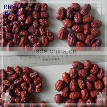 Fruit Date China photo-2