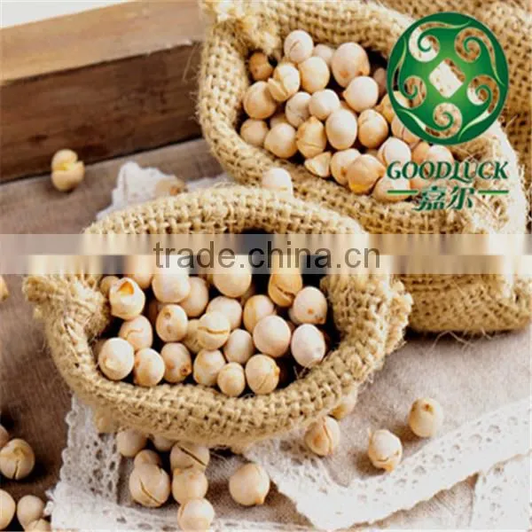 Wholesale China Chickpeas of Xinjing Origin(2013 Crop) Quality Choice photo-2