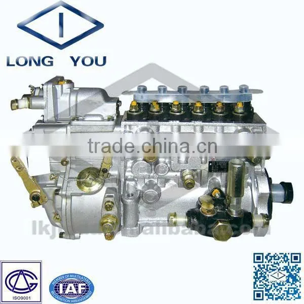 Weichai Fuel Pump BP2004/612600081227/BHT6P120R