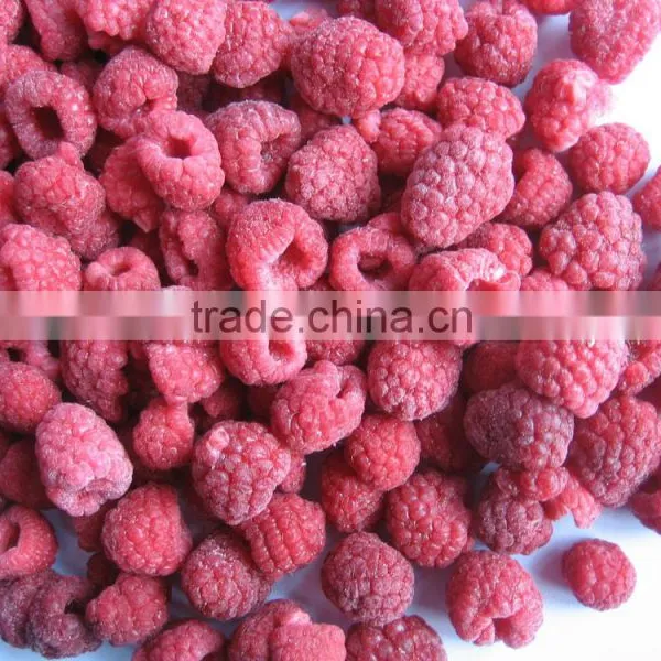 IQF Red Raspberry photo-2