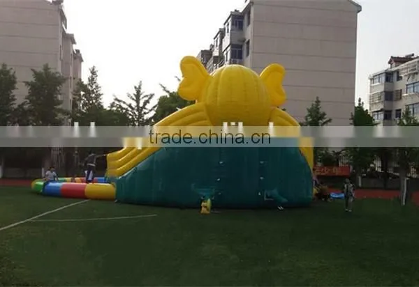 Commercial Giant Inflatable Water Slide With Pool/ Water Park for Sale photo-2