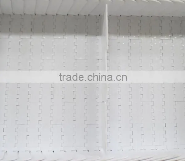 Grain Belt Conveyor photo-4