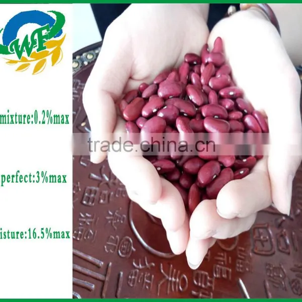 New Crop Dark Red Kidney Beans photo-4