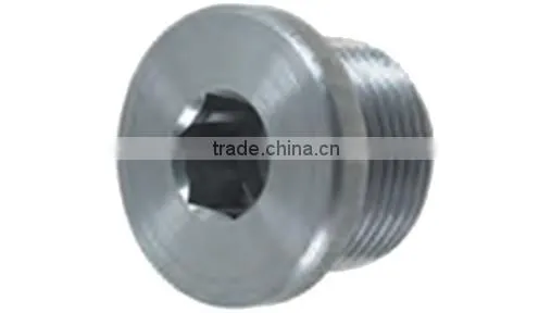 Metric DIN 908 Socket Pipe Plug