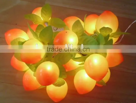 Development LED lights for Christmas decoration lights 10 meters 100 head of white leds lights holiday lights Christmas