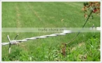 Barbed Wire photo-4