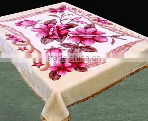100% Polyester Wholesale Thermal Protection Container Home Mink China Supplier Double Layer Mink Blanket photo-2