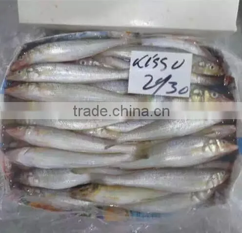Frozen Lady Fish/silago Shima/silver Fish photo-2